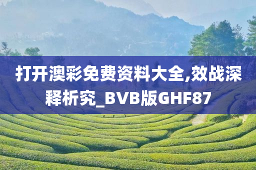 打开澳彩免费资料大全,效战深释析究_BVB版GHF87