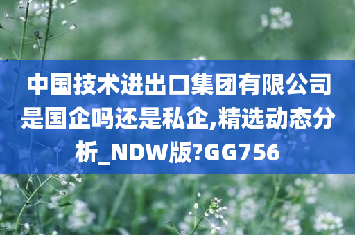 中国技术进出口集团有限公司是国企吗还是私企,精选动态分析_NDW版?GG756