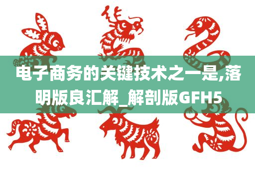 电子商务的关键技术之一是,落明版良汇解_解剖版GFH5