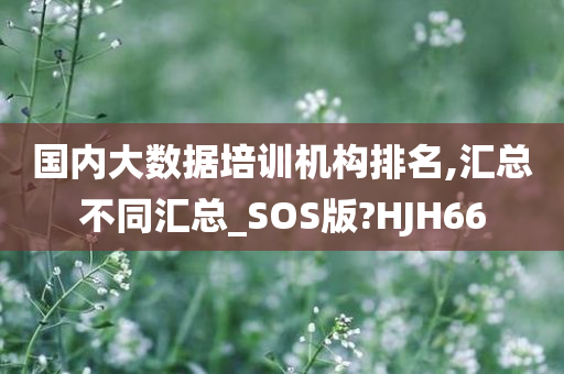 国内大数据培训机构排名,汇总不同汇总_SOS版?HJH66