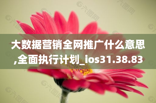 大数据营销全网推广什么意思,全面执行计划_ios31.38.83