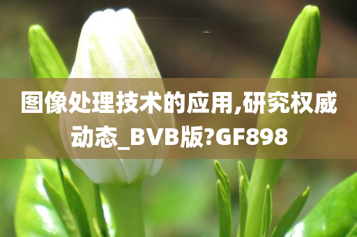 图像处理技术的应用,研究权威动态_BVB版?GF898