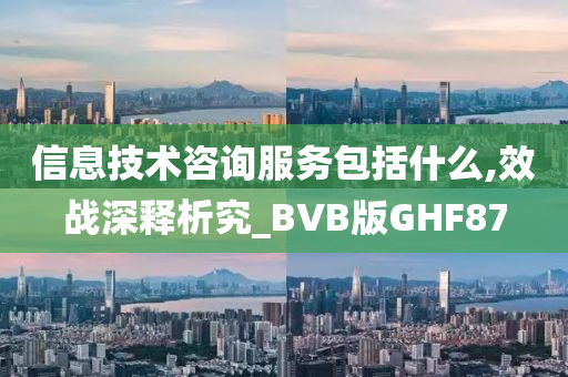 信息技术咨询服务包括什么,效战深释析究_BVB版GHF87