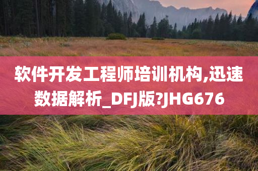 软件开发工程师培训机构,迅速数据解析_DFJ版?JHG676