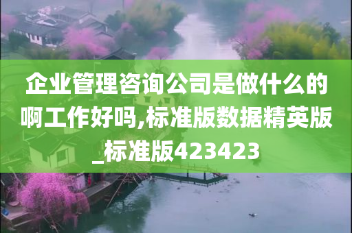 企业管理咨询公司是做什么的啊工作好吗,标准版数据精英版_标准版423423