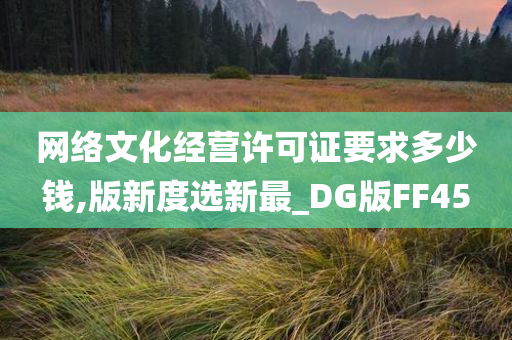 网络文化经营许可证要求多少钱,版新度选新最_DG版FF45