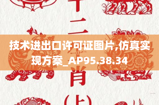 技术进出口许可证图片,仿真实现方案_AP95.38.34