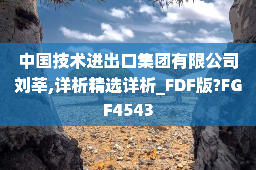 中国技术进出口集团有限公司刘莘,详析精选详析_FDF版?FGF4543