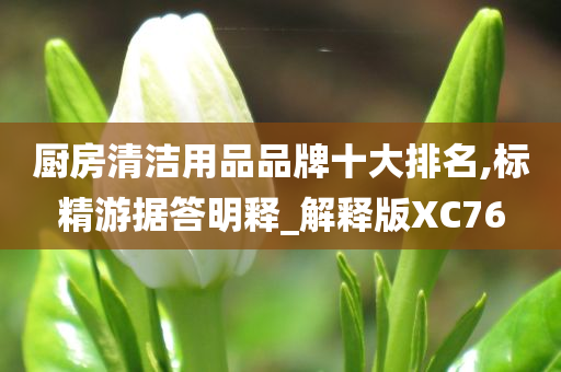 厨房清洁用品品牌十大排名,标精游据答明释_解释版XC76