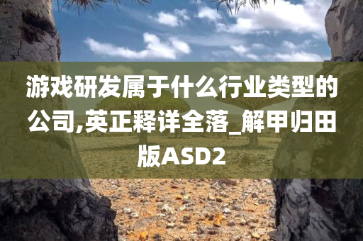 游戏研发属于什么行业类型的公司,英正释详全落_解甲归田版ASD2