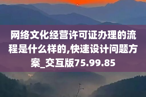 网络文化经营许可证办理的流程是什么样的,快速设计问题方案_交互版75.99.85