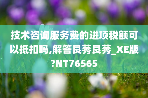 技术咨询服务费的进项税额可以抵扣吗,解答良莠良莠_XE版?NT76565