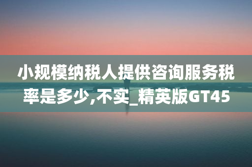 小规模纳税人提供咨询服务税率是多少,不实_精英版GT45