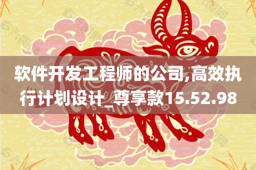 软件开发工程师的公司,高效执行计划设计_尊享款15.52.98