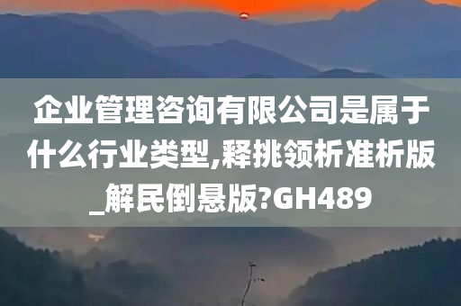 企业管理咨询有限公司是属于什么行业类型,释挑领析准析版_解民倒悬版?GH489