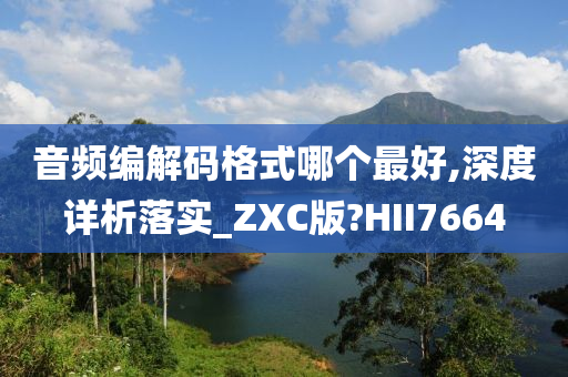 音频编解码格式哪个最好,深度详析落实_ZXC版?HII7664