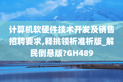 计算机软硬件技术开发及销售招聘要求,释挑领析准析版_解民倒悬版?GH489