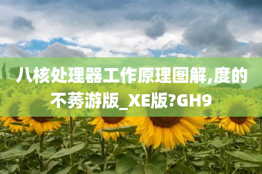 八核处理器工作原理图解,度的不莠游版_XE版?GH9