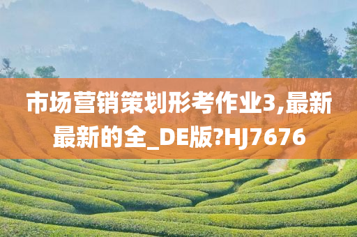 市场营销策划形考作业3,最新最新的全_DE版?HJ7676