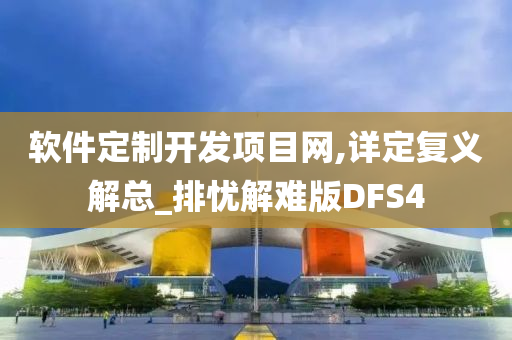 软件定制开发项目网,详定复义解总_排忧解难版DFS4