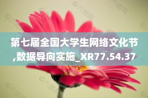 第七届全国大学生网络文化节,数据导向实施_XR77.54.37