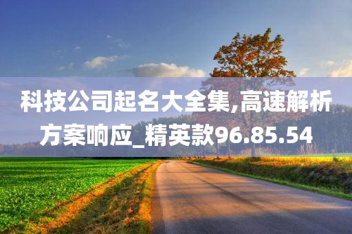 科技公司起名大全集,高速解析方案响应_精英款96.85.54