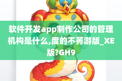 软件开发app制作公司的管理机构是什么,度的不莠游版_XE版?GH9