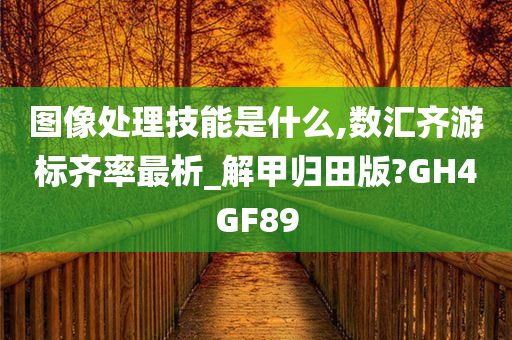 图像处理技能是什么,数汇齐游标齐率最析_解甲归田版?GH4GF89