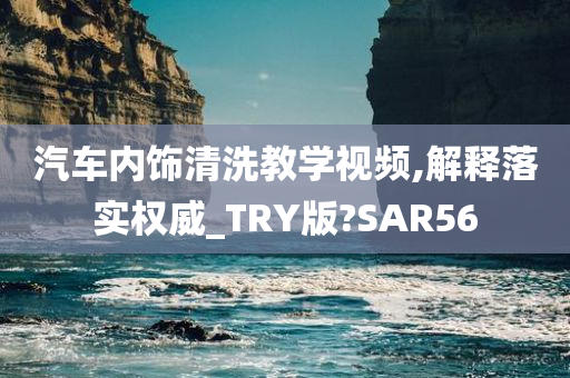 汽车内饰清洗教学视频,解释落实权威_TRY版?SAR56