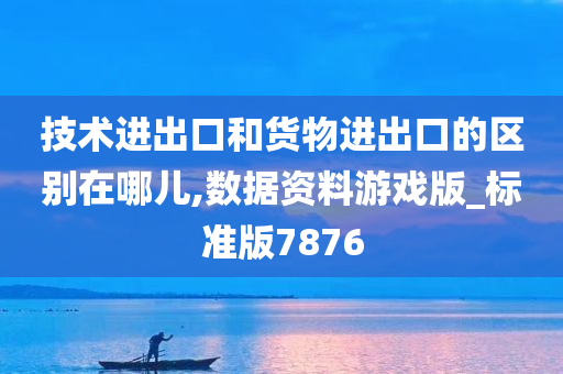 技术进出口和货物进出口的区别在哪儿,数据资料游戏版_标准版7876