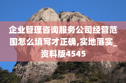 企业管理咨询服务公司经营范围怎么填写才正确,实地落实_资料版4545