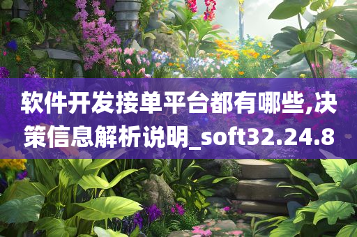 软件开发接单平台都有哪些,决策信息解析说明_soft32.24.80