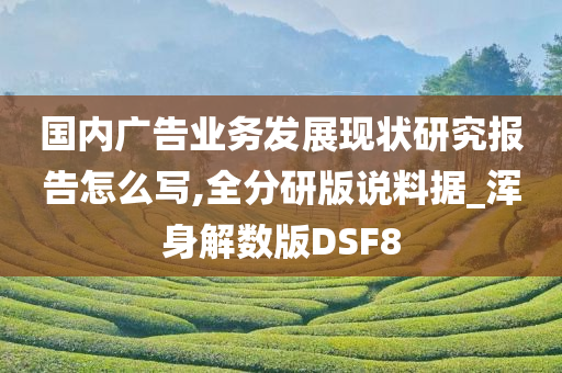 国内广告业务发展现状研究报告怎么写,全分研版说料据_浑身解数版DSF8