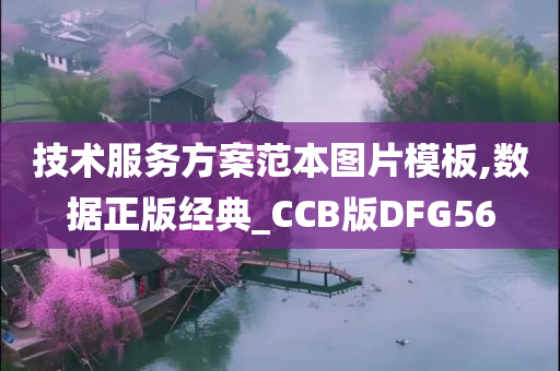 技术服务方案范本图片模板,数据正版经典_CCB版DFG56