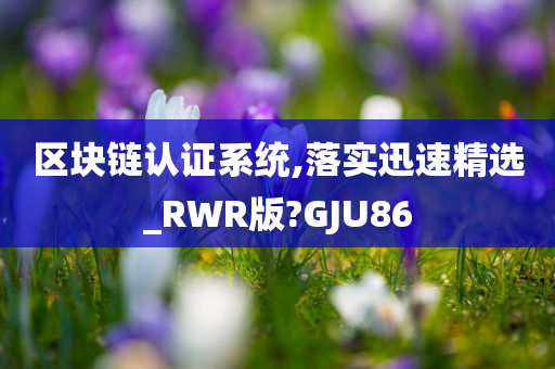 区块链认证系统,落实迅速精选_RWR版?GJU86