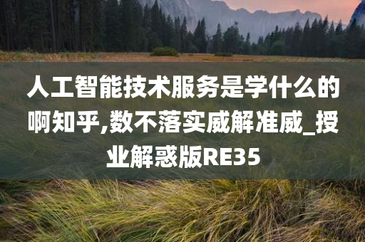 人工智能技术服务是学什么的啊知乎,数不落实威解准威_授业解惑版RE35