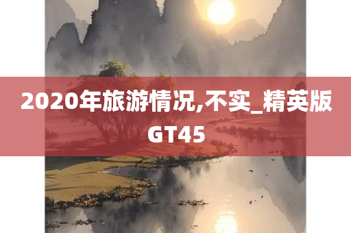 2020年旅游情况,不实_精英版GT45