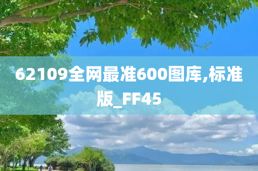 62109全网最准600图库,标准版_FF45