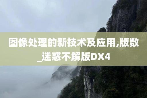 图像处理的新技术及应用,版数_迷惑不解版DX4