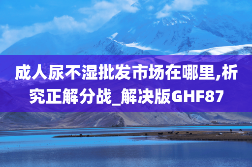 成人尿不湿批发市场在哪里,析究正解分战_解决版GHF87