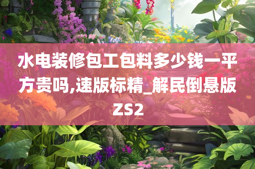 水电装修包工包料多少钱一平方贵吗,速版标精_解民倒悬版ZS2