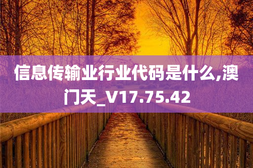 信息传输业行业代码是什么,澳门天_V17.75.42