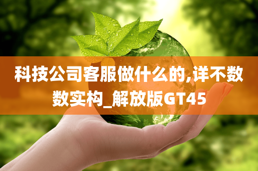 科技公司客服做什么的,详不数数实构_解放版GT45