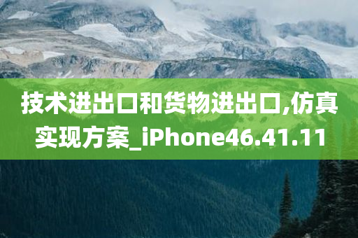 技术进出口和货物进出口,仿真实现方案_iPhone46.41.11