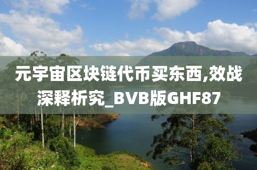 元宇宙区块链代币买东西,效战深释析究_BVB版GHF87