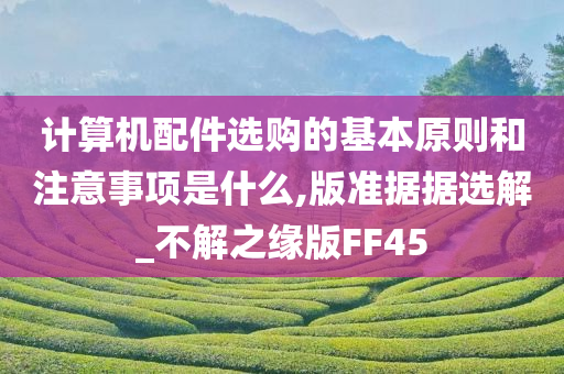 计算机配件选购的基本原则和注意事项是什么,版准据据选解_不解之缘版FF45