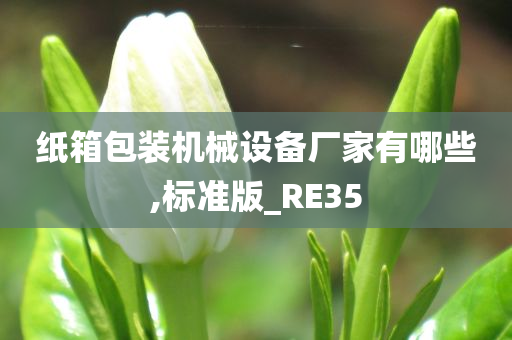 纸箱包装机械设备厂家有哪些,标准版_RE35