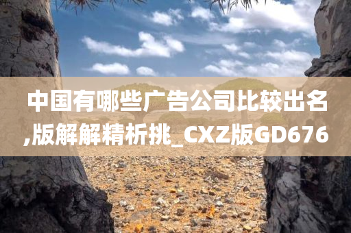 中国有哪些广告公司比较出名,版解解精析挑_CXZ版GD676