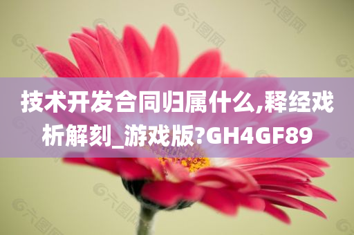 技术开发合同归属什么,释经戏析解刻_游戏版?GH4GF89