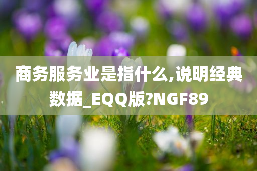 商务服务业是指什么,说明经典数据_EQQ版?NGF89